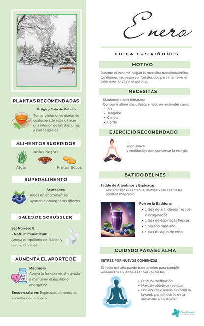 Salud todo el Año - Guía Visual